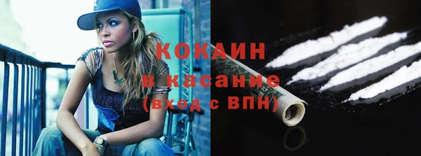 гашик Алексин