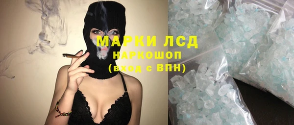 дживик Ельня