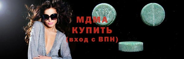 гашик Алексин