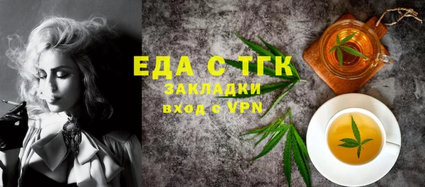 гашик Алексин