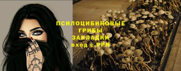 spice Алексеевка