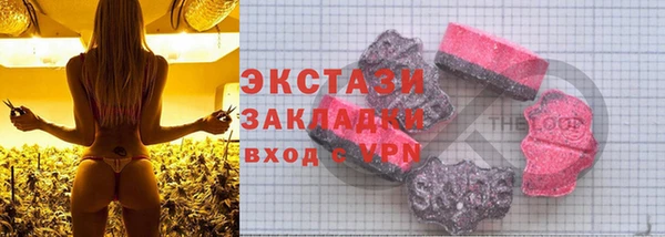гашик Алексин