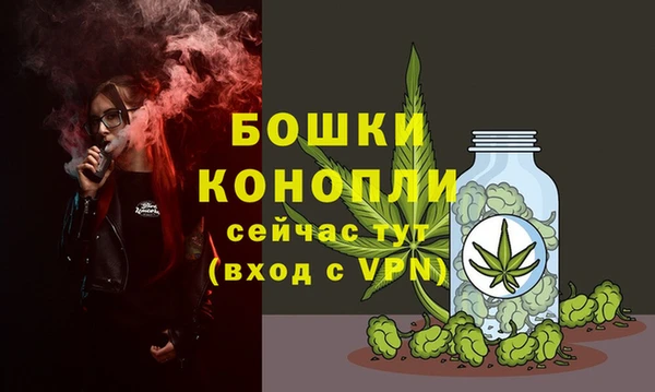 ПСИЛОЦИБИНОВЫЕ ГРИБЫ Елабуга